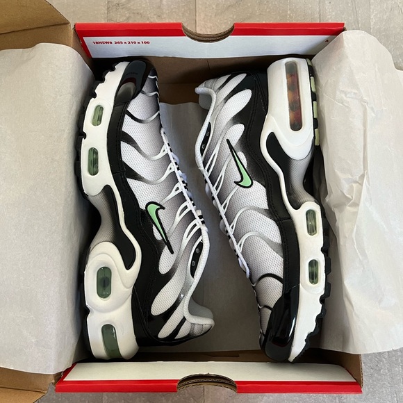 Nike Shoes - Nike Air Max Plus sneakers (NIB)